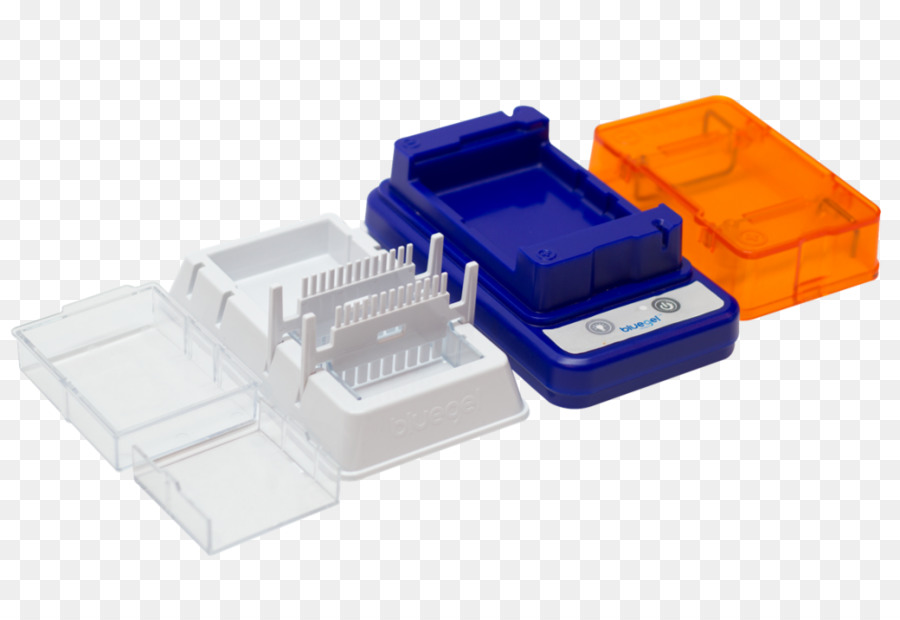 หนาแน่นเหมือนเจลใช่แน่นอ Electrophoresis，Electrophoresis PNG