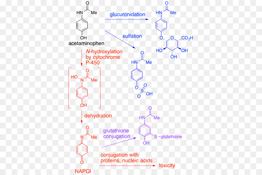 Acetaminophen，Napqi PNG