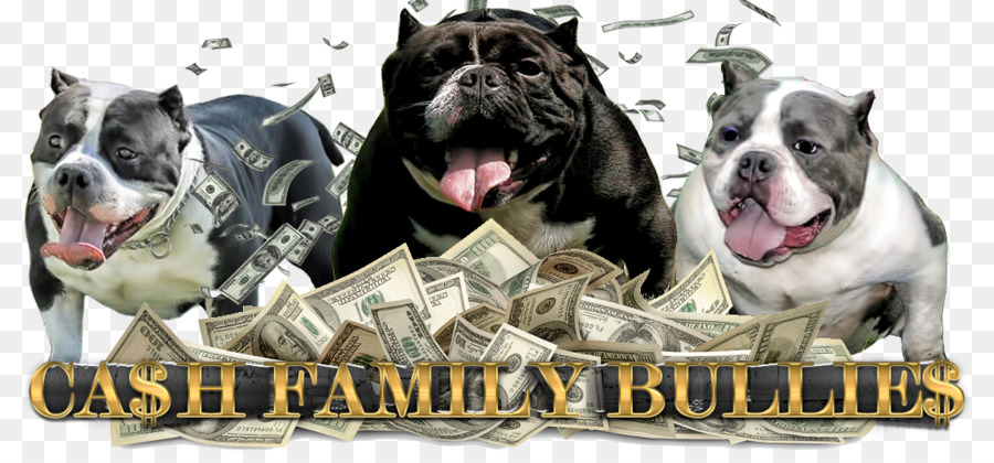 Olde ภาษาอังกฤษ Bulldogge，ดอร์เซ็ท Olde Tyme Bulldogge PNG