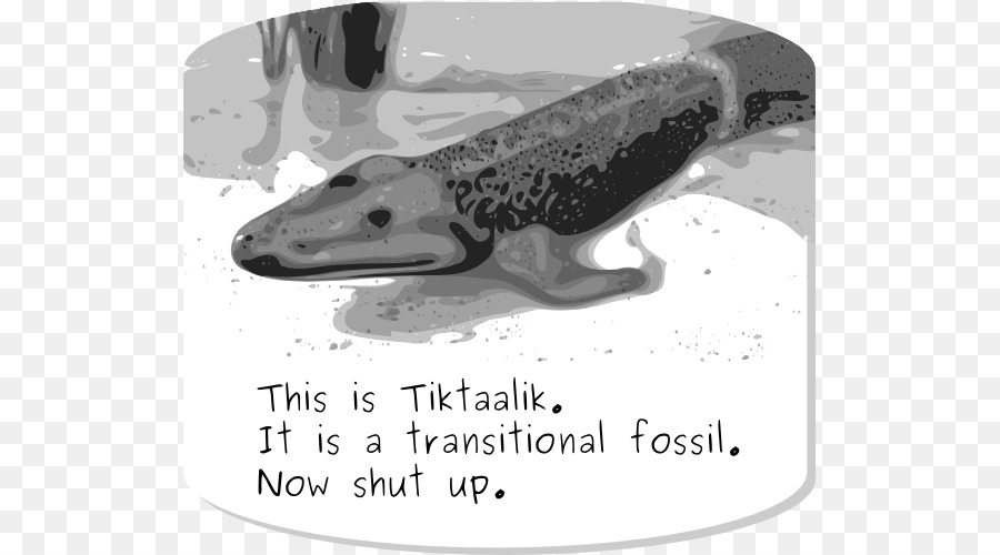 Tiktaalik，ฟอสซิล PNG