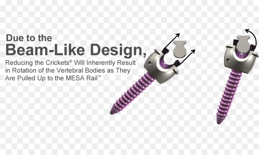 Vertebral คอลัมน์，K2m กลุ่ม Holdings PNG