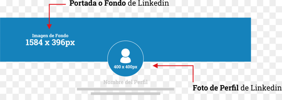 Linkedin，เครือข่ายทางสังคม PNG