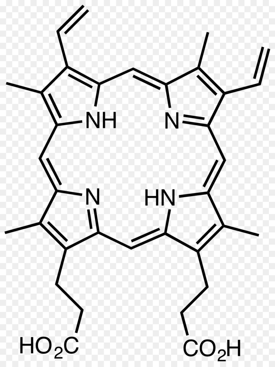 Porphyrin，Protoporphyrin Ix PNG