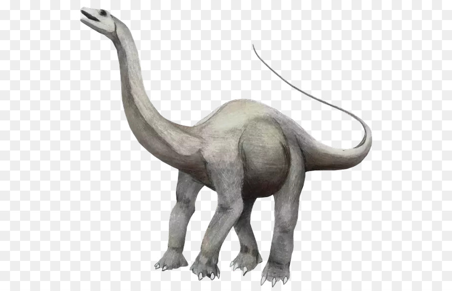 โทซอร์，Brontosaurus PNG