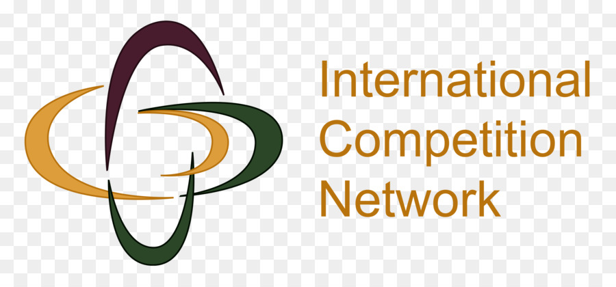ระหว่างประเทศการแข่งขันเครือข่าย，คอมพิวเตอร์เครือข่าย PNG