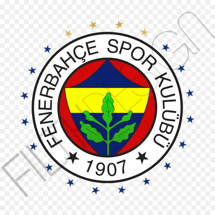 โลโก้ Fenerbahce，ฟุตบอล PNG