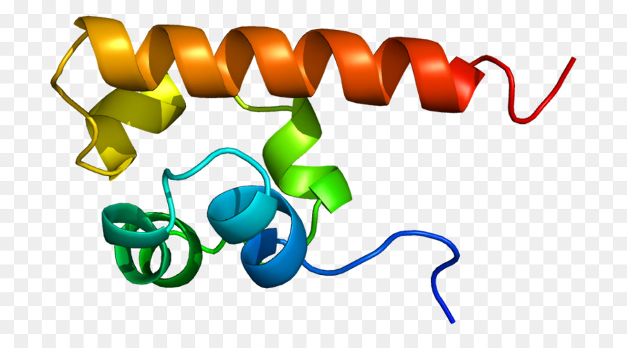 เกลียวโปรตีน，โมเลกุล PNG