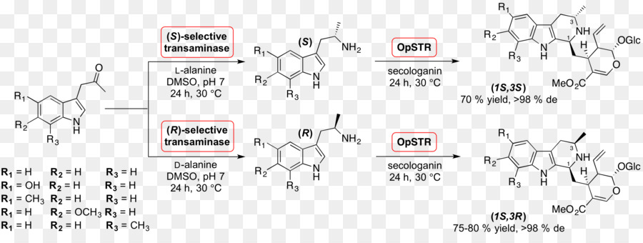 Strictosidine，ปฏิกิริยา PNG