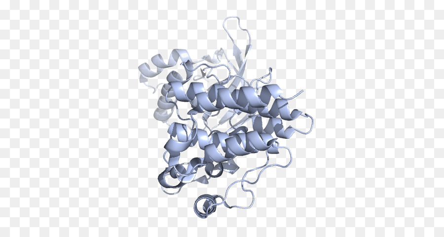 โครงสร้างโปรตีน，โมเลกุล PNG