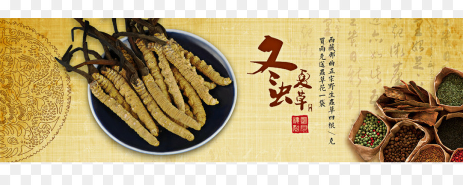 Yushu ภาษาฑิเบต Name Autonomous Prefecture，Caterpillar เชื้อรา PNG