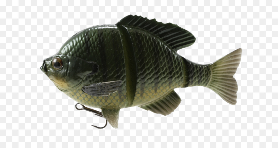 Bluegill，ตกปลา Baits Lures PNG