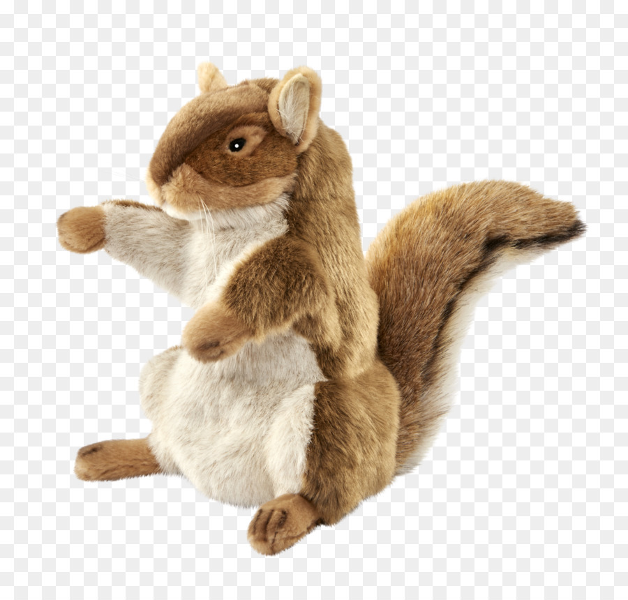 Chipmunk，๐๒๐๒๑ PNG