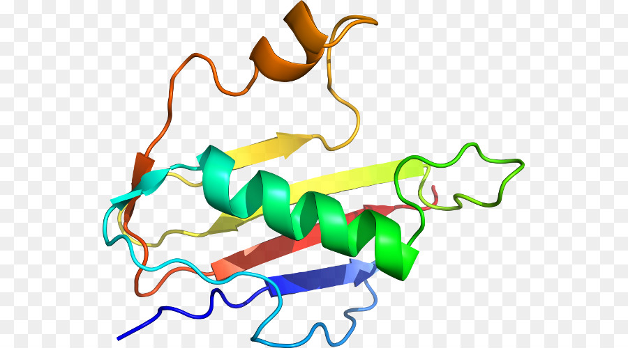 เกลียวโปรตีน，โมเลกุล PNG