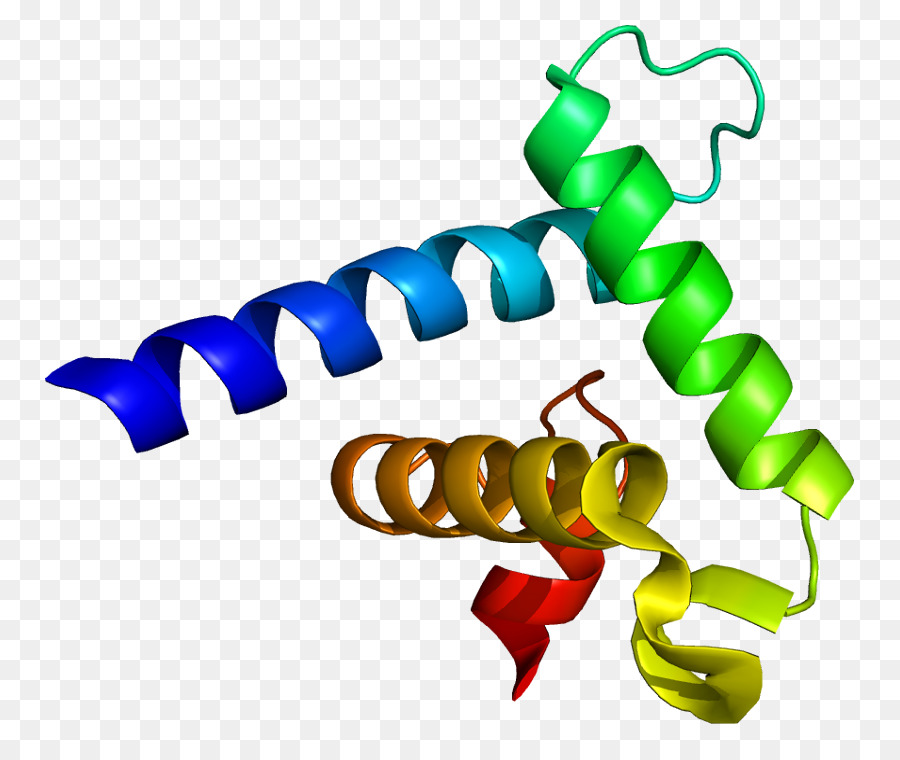 Crebbinding โปรตีน，P300cbp Coactivator ครอบครัว PNG