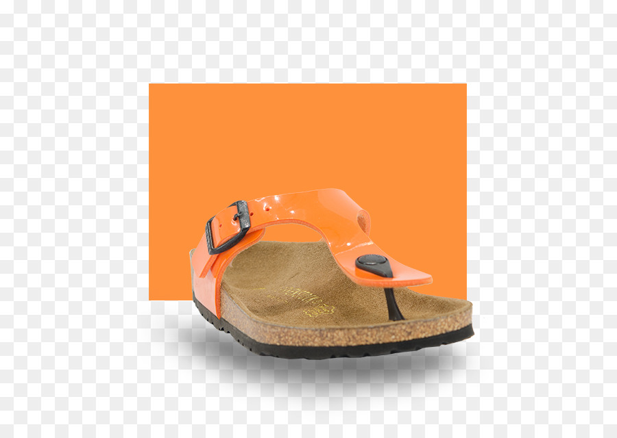 Flipflops，รองเท้า PNG