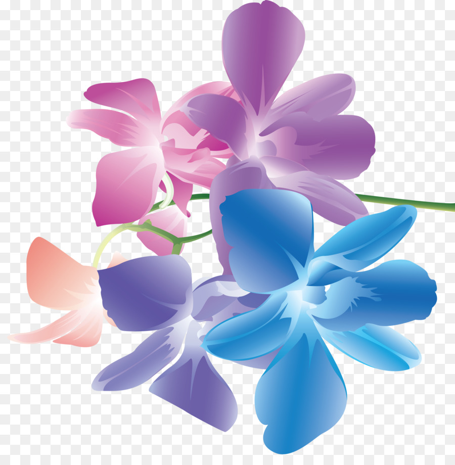 ดอกไม้，สวนดอกกุหลาบ PNG