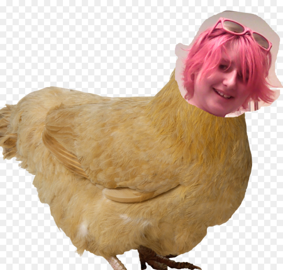 Silkie，ไก่เป็นอาหาร PNG