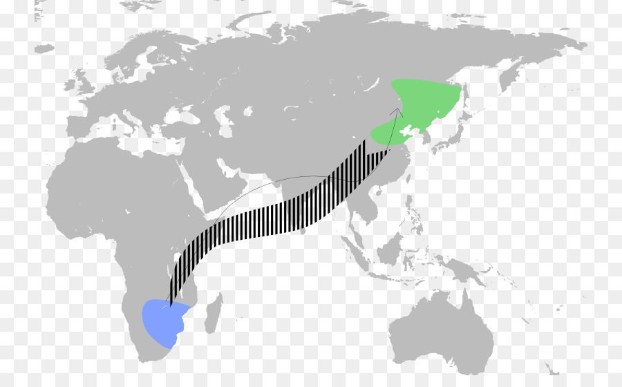 โลก，โลกแผนที่ PNG