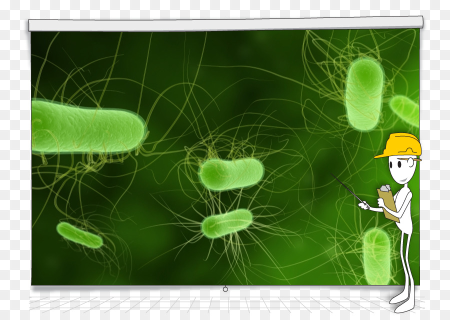 โบ Measurement，ย้อนกลับ Osmosis PNG