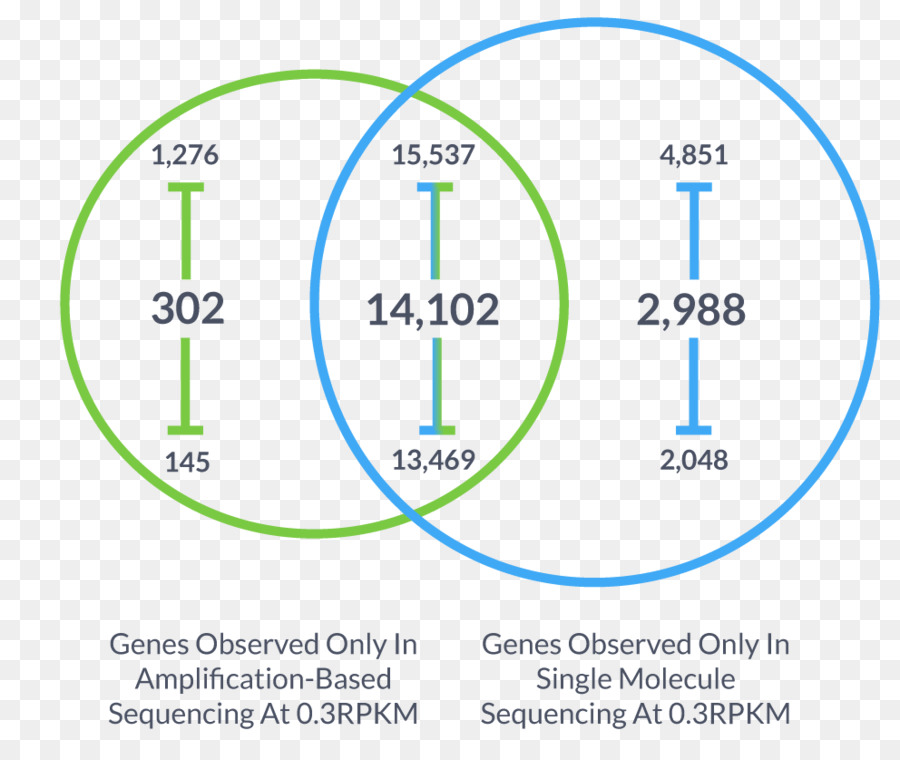 ชีววิทยาศาสตร์ Helicos，Sequencing โดย Hybridization PNG