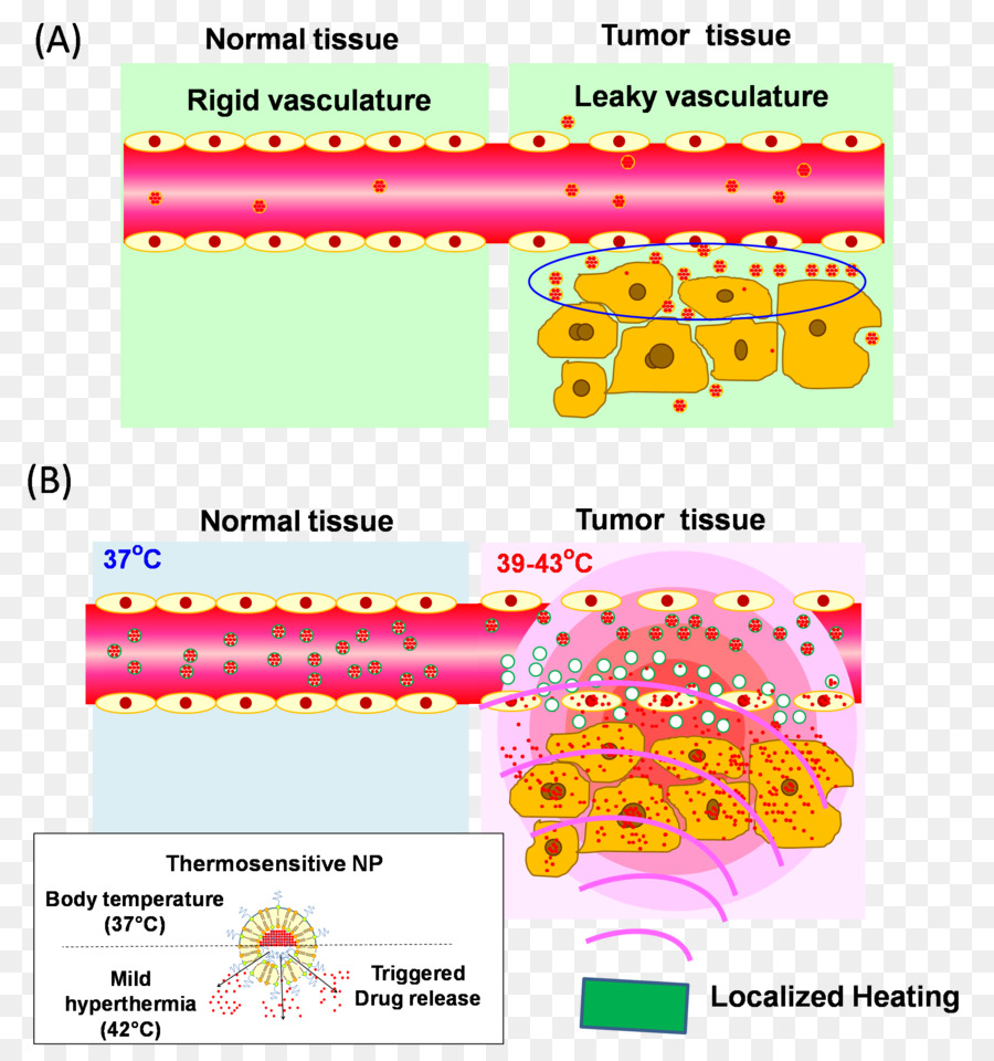 Liposome，ส่งของยาเสพติด PNG