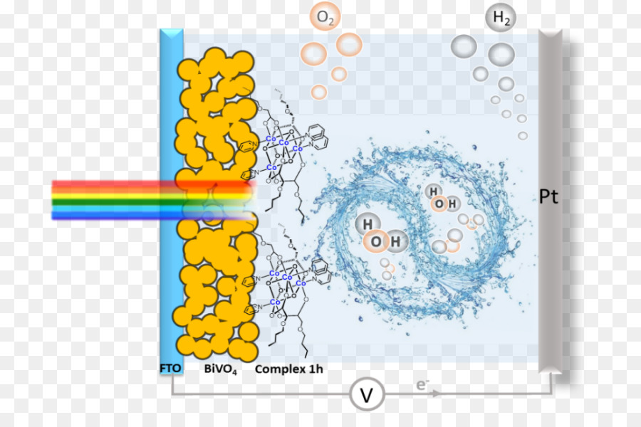 ตามธรรมชา Photosynthesis，เชื้อพระวงศ์สถาบันเทคโนโลยี PNG