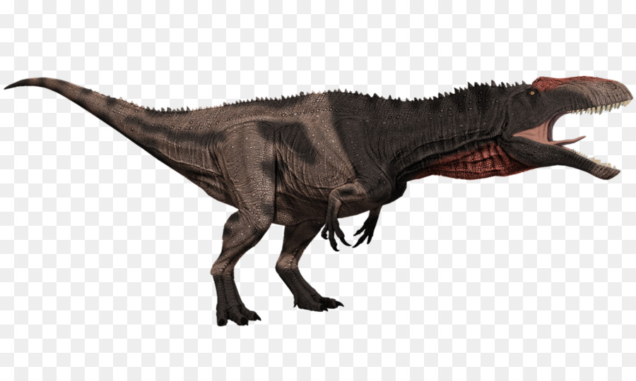 รัส，Acrocanthosaurus PNG