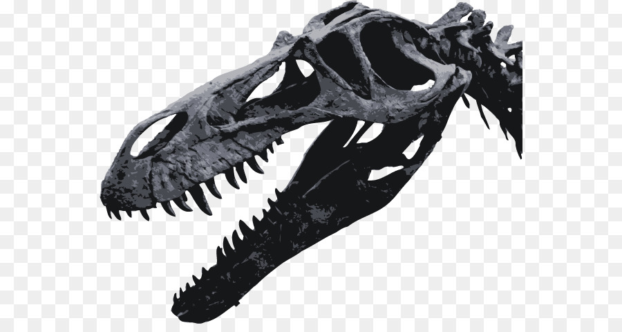 Torvosaurus，รัส PNG