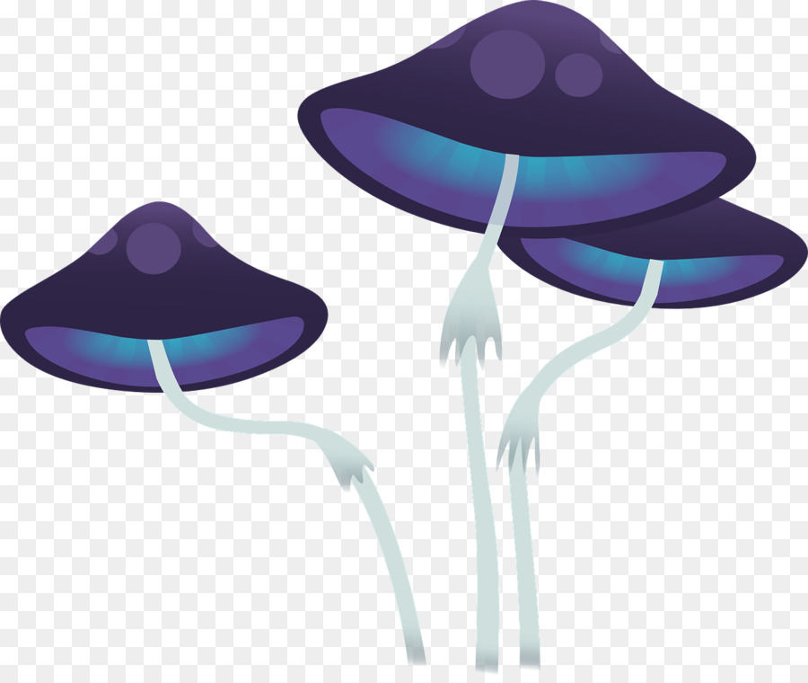 Clitocybe Acromelalga，เชื้อรา PNG