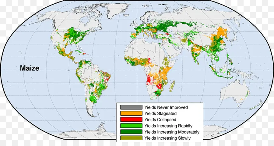 แผนที่ให้ผลผลิตข้าวโพด，เกษตรกรรม PNG