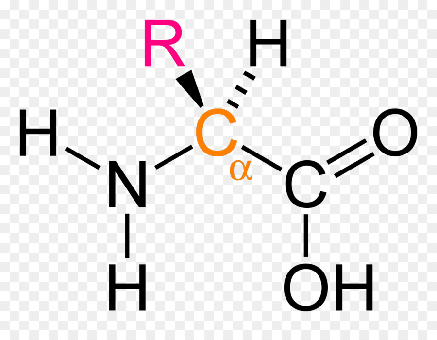 Dietary เสริม，Acetylcysteine PNG