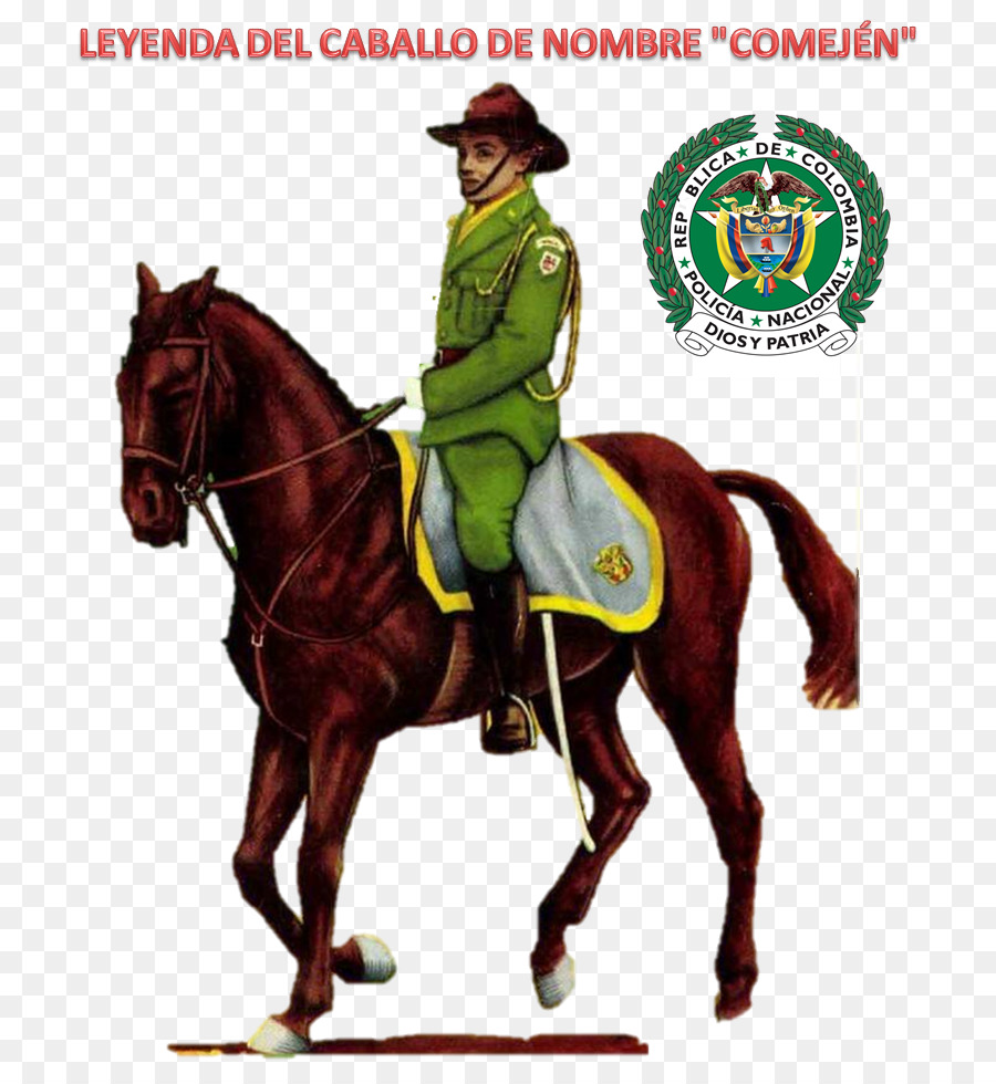 ตำรวจแห่งชาติของโคลัมเบีย，ม้า PNG