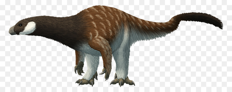 Pantydraco，Thecodontosaurus PNG