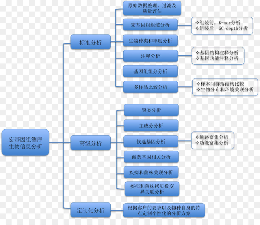 เป็นหมอโรคผิวหนังมากว่า，16s Ribosomal อาร์เอ็นเอ PNG