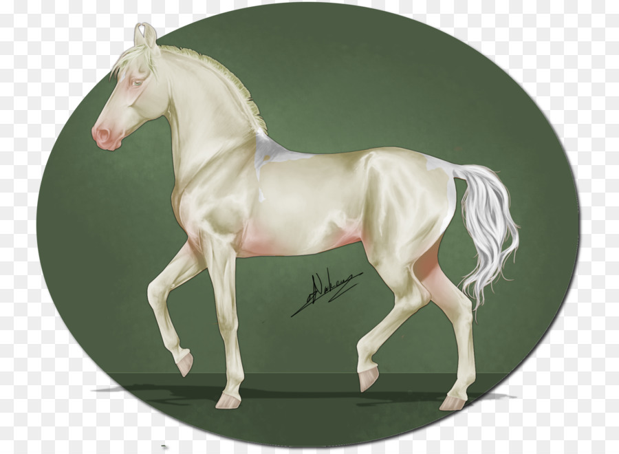 ม้า，Foal PNG