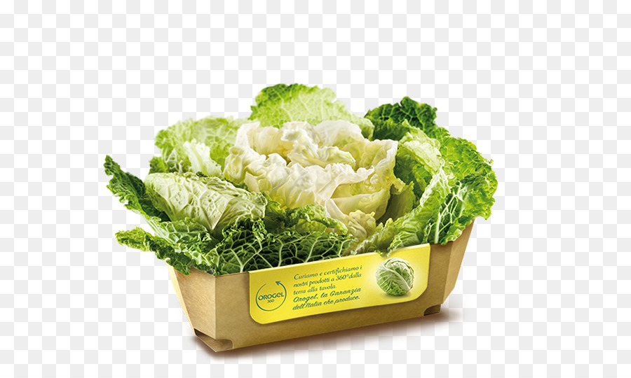 Romaine ผักกาดหอม，ซาวอยกะหล่ำปลี PNG