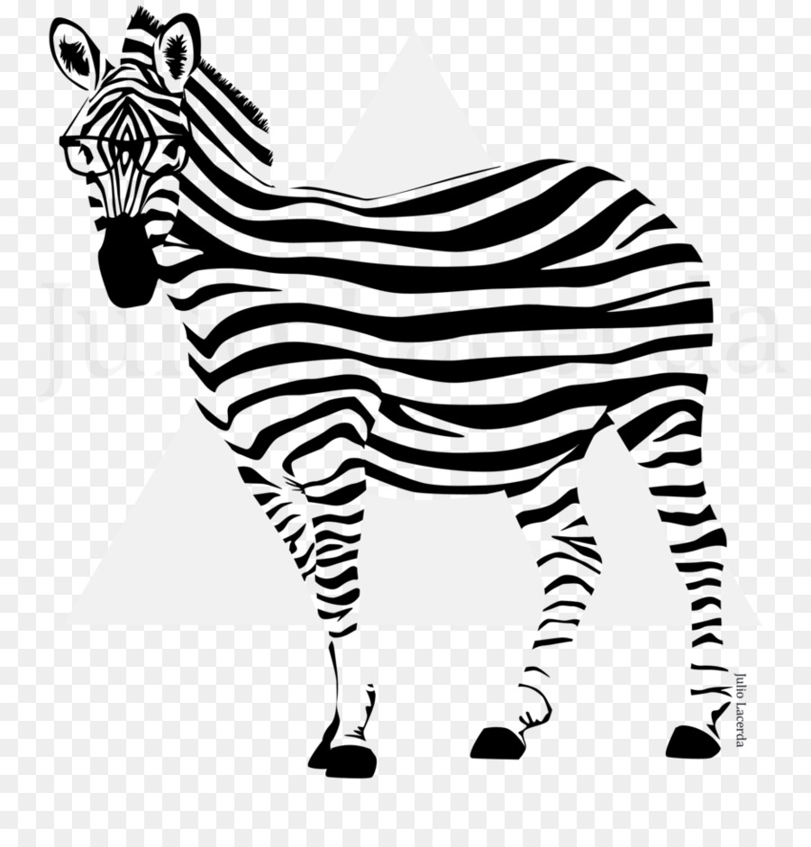 Quagga，ม้าลาย PNG