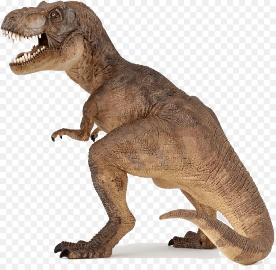 T Rex，ฟัน PNG