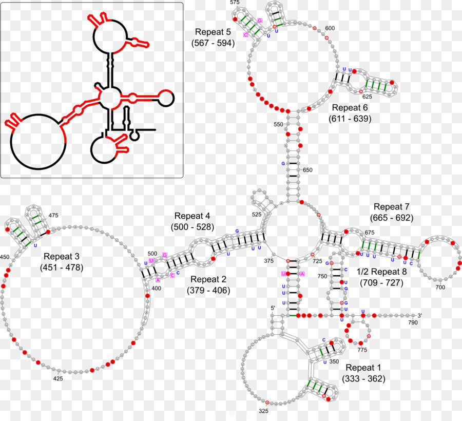 ชนะ，Xinactivation PNG