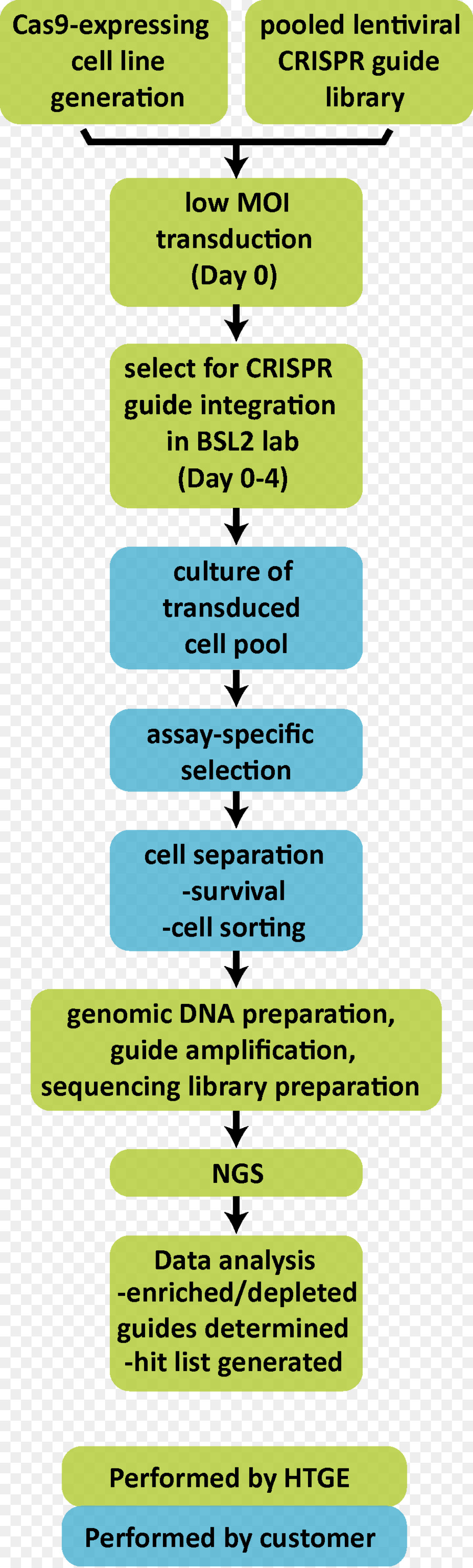 Crispr，จีโนการแก้ไข PNG