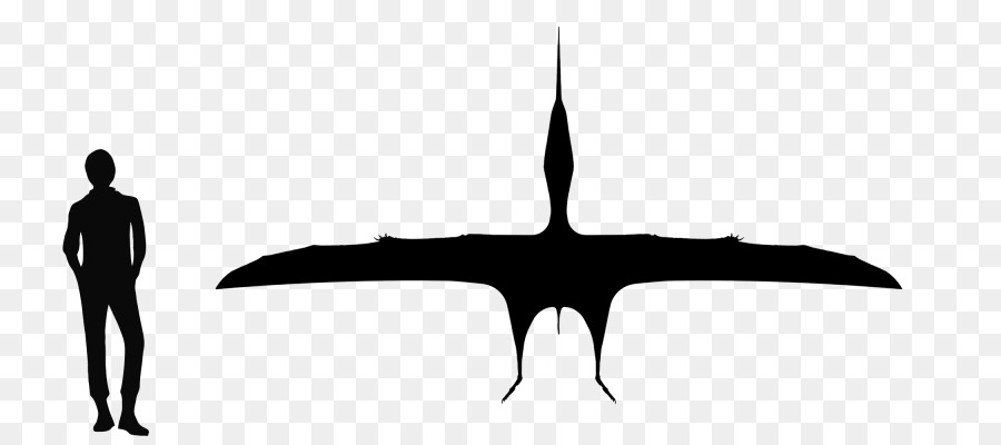 ภาพเงา Pterosaur，ไดโนเสาร์ PNG