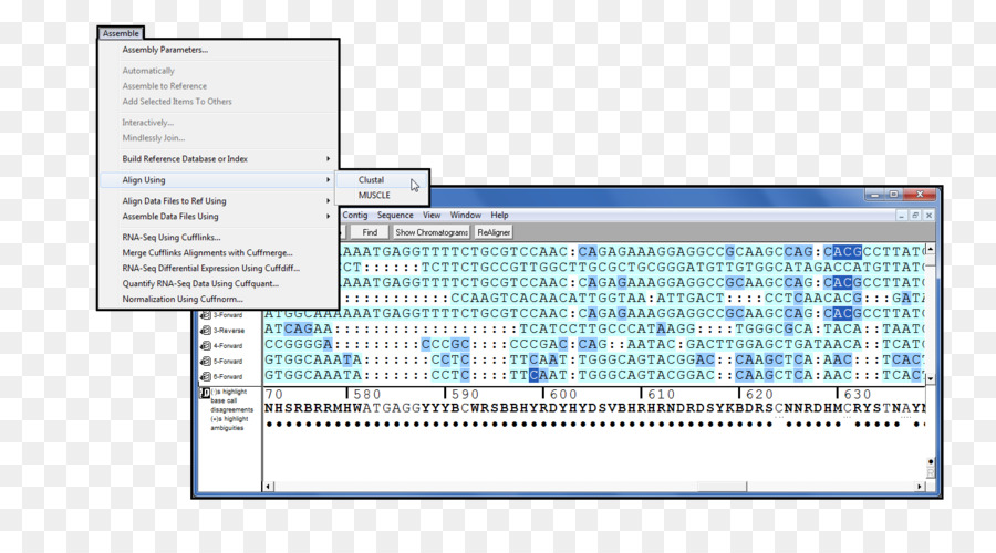 โปรแกรมคอมพิวเตอร์，กระดาษ PNG