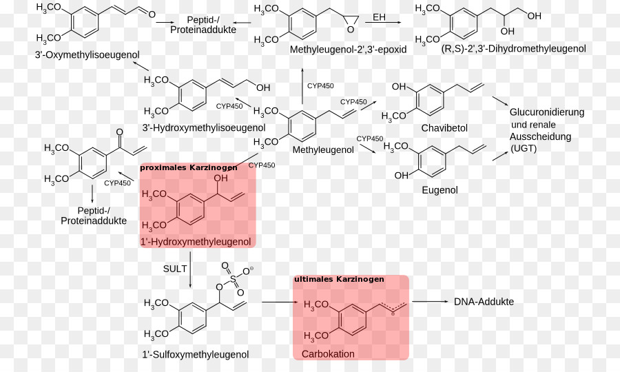 เมธิล Eugenol，Eugenol PNG