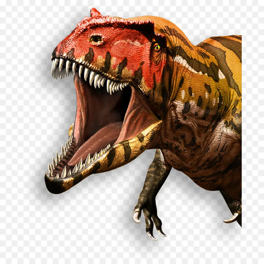 รัส，Giganotosaurus PNG