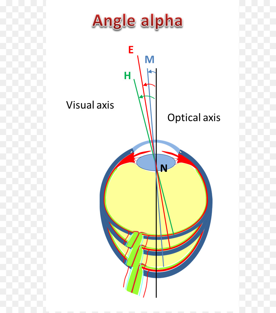 Nearsightedness，ตา PNG