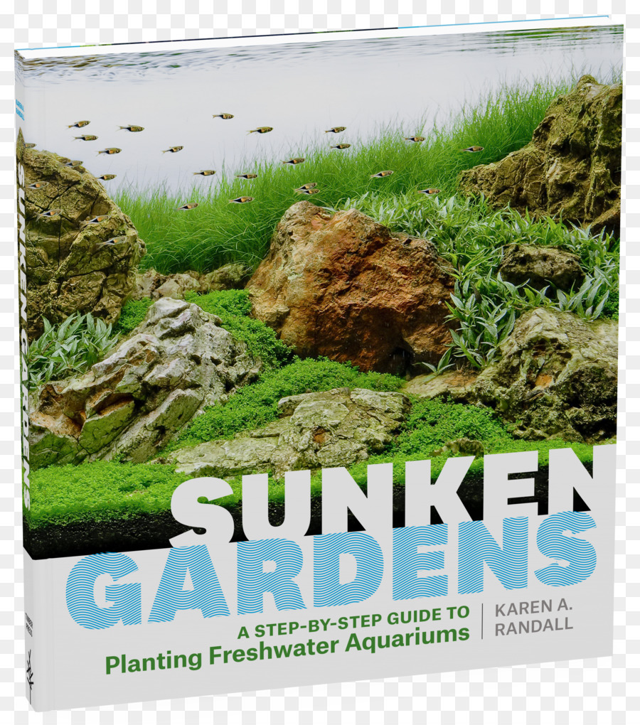 Sunken สวนเป็น Stepbystep นำทางที่ถูกฝัง Freshwater Aquariums，Encyclopedia ของเชื่อต้นไม้ PNG