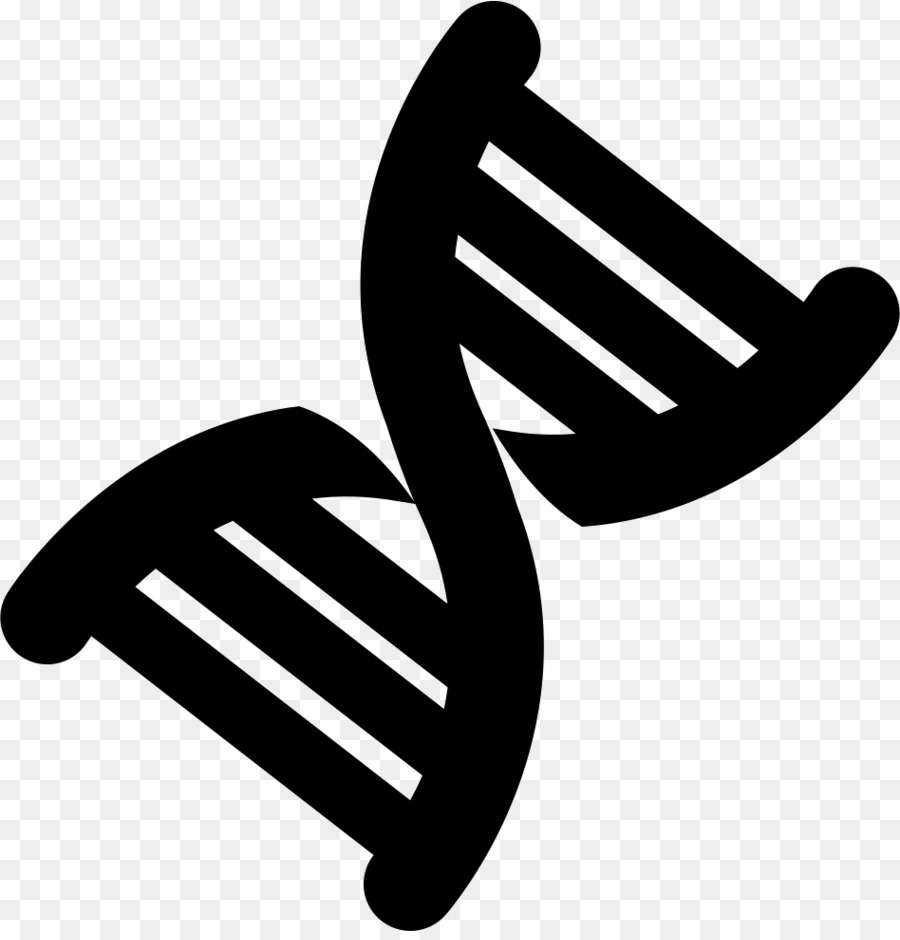 ดับเบิ้ลเฮลิกซ์เป็นการส่วนตัวบัญชีของการค้นพบของโครงสร้างของดีเอ็นเอ，Nucleic กรดดับเบิ้ลเฮลิกซ์ Name PNG