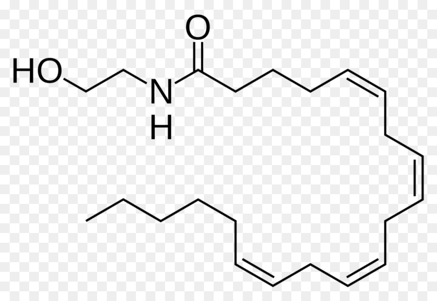 Anandamide，Tetrahydrocannabinol PNG