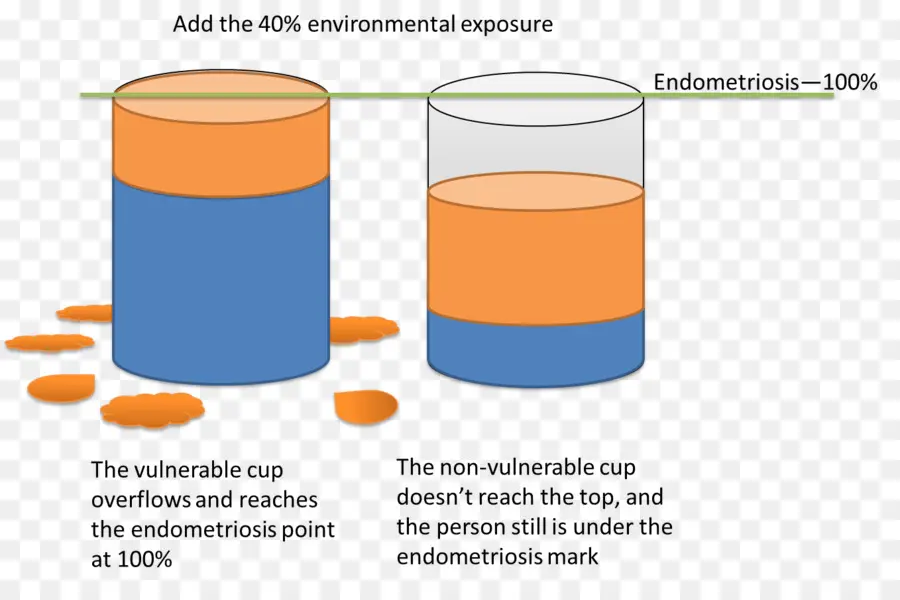 ไดอะแกรม Endometriosis，สุขภาพ PNG