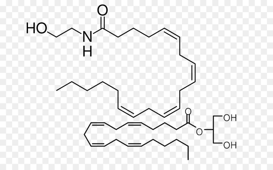 Anandamide，Endocannabinoid ของระบบ PNG